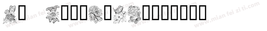 KR Butterfly字体转换
